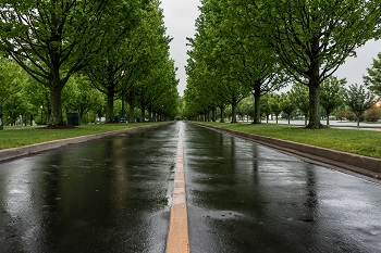 Slick Road In Kentucky